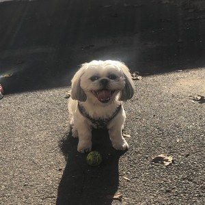 Meet your Posher, Amber